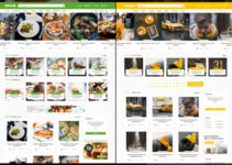 Boodo WP - Food and Magazine Shop WordPress Theme