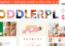 ToddlerPlay - Children and Kindergarten WordPress Theme