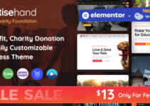 RiseHand - Charity & Donation WordPress Theme