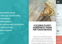 HUNTER - A clean & classy WordPress theme