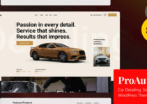 ProAuto - Car Detailing, Service & Shop