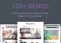 Magneto - Multi Concept Responsive WordPress Magazine and Blog Theme